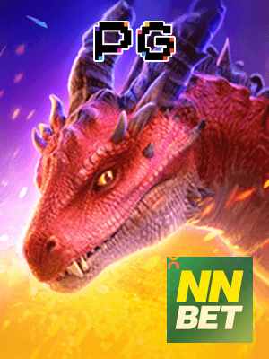 Recursos App NNBET